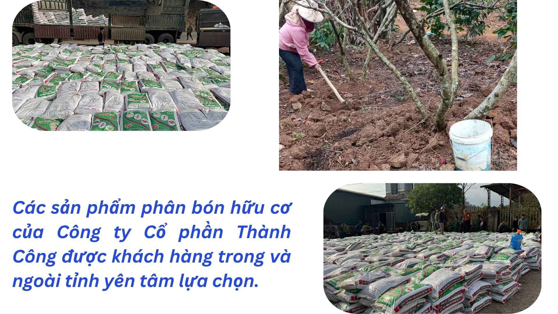 Ảnh thứ 3 trong tổng số 3 ảnh